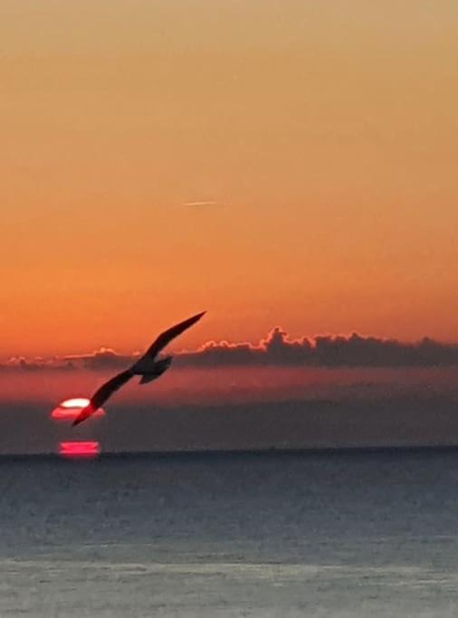 Le Chant Des Vagues Sète Exteriér fotografie